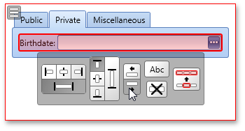 DXperience,DevExpress,LayoutControl 